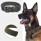 Durable Tactical Dog Collar & Leash Set | Heavy Duty Training Gear