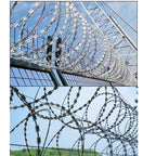 304 Stainless Steel Rust-Proof Barbed Wire | Heavy Duty Security Fencing